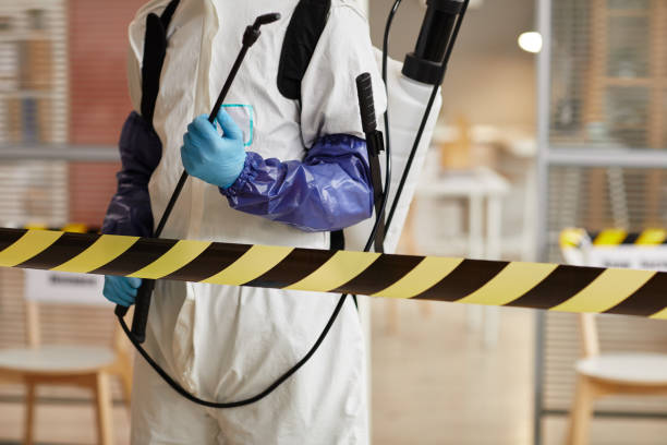 Professional Sewage Cleanup technician working in Maplewood, OH